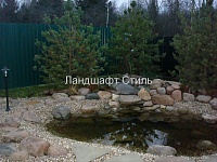 Озеленение и благоустройство