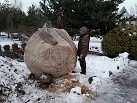 Озеленение и благоустройство