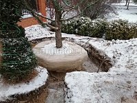 Озеленение и благоустройство