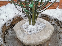 Озеленение и благоустройство